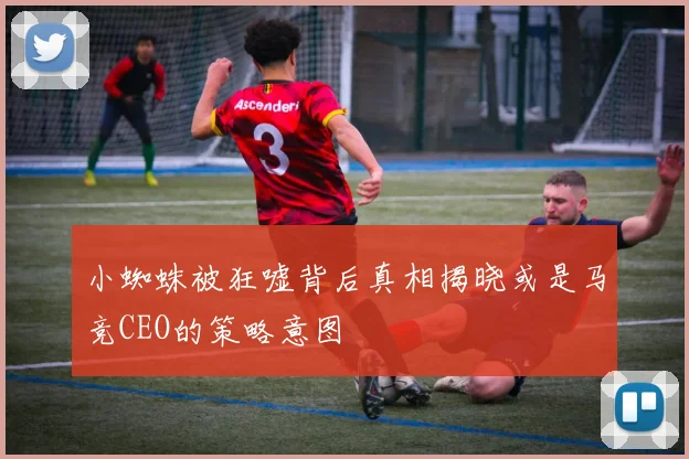小蜘蛛被狂嘘背后真相揭晓或是马竞CEO的策略意图