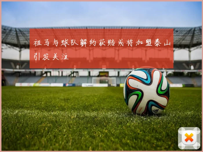 祖马与球队解约获赔或将加盟泰山引发关注
